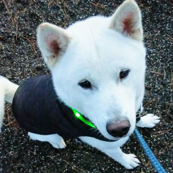 887bbeca 0204 45f3 8805 6cb47a4efaaf 1514197764026