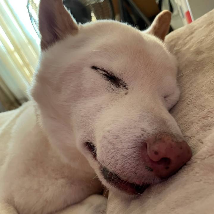 887c22f5 cc1b 4052 9929 7cd0ba6d46f4 1634963062041