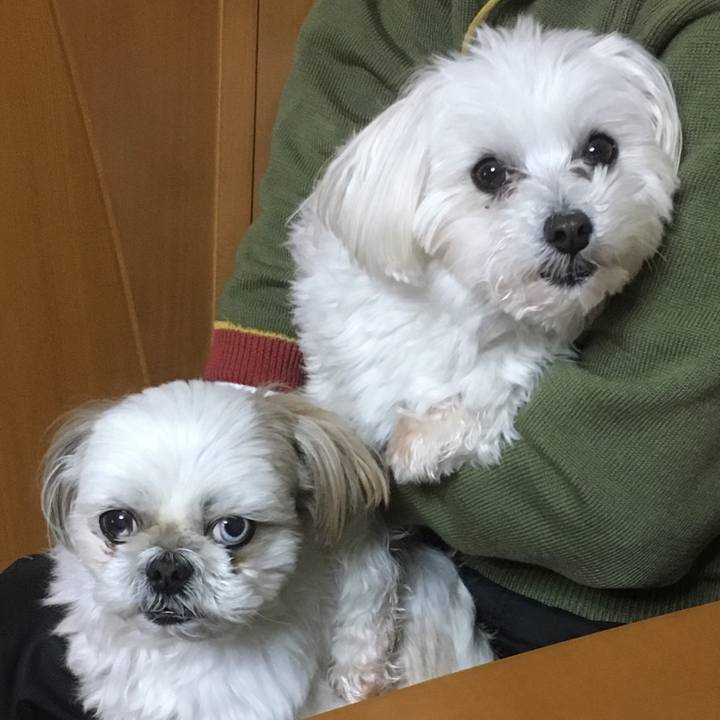 887c3bd8 28cc 4b50 84ad 82b16cea8155 1519821042857