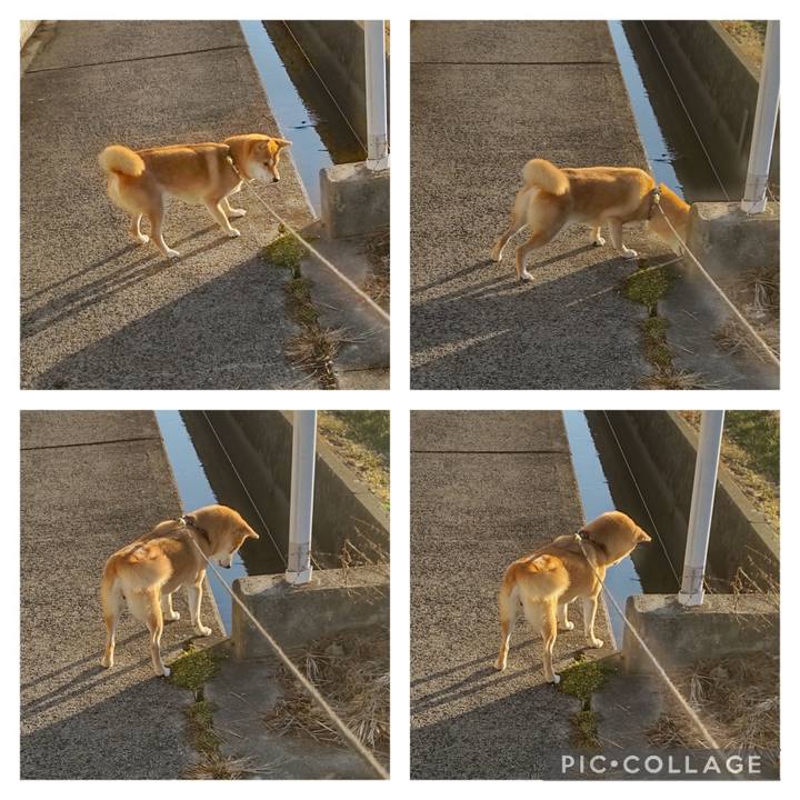 887c6c08 8110 42a2 89e7 54236f143e14 1704507706525