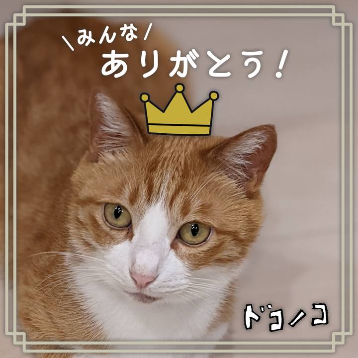 887cc2b6 ead8 44ea b623 d8ddbb79f880 1622854163452