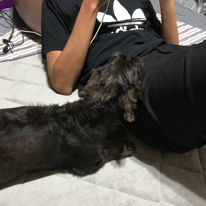 887cd9f9 b240 454b 903a b9b62e92d7ef 1565535936000