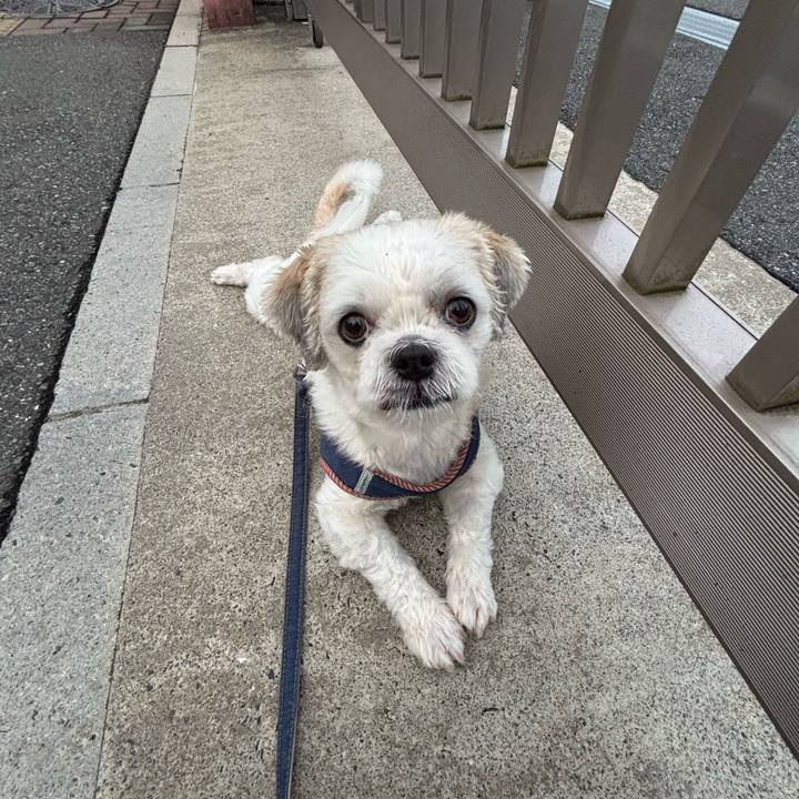 887cdaa5 30ba 4a46 8010 3b1f981cbfb3 1758750309354