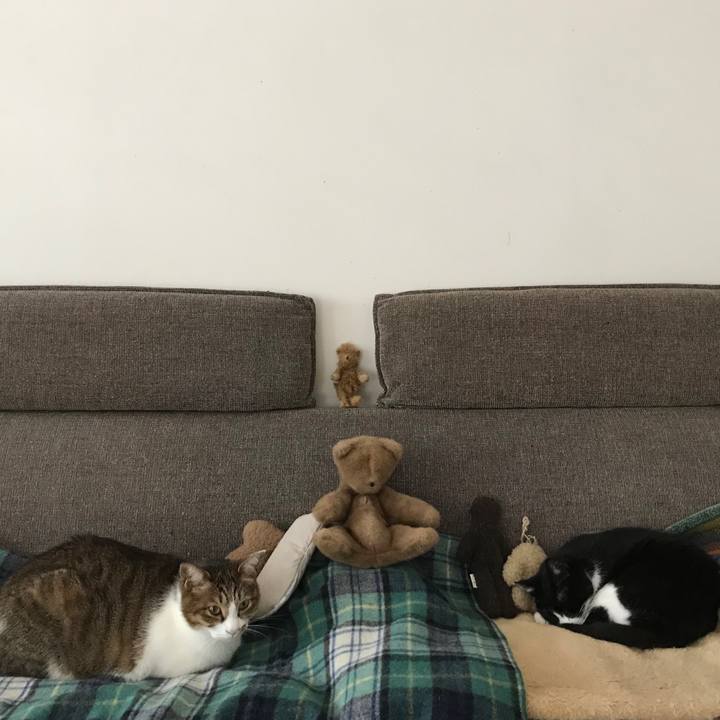 887ce0fd 7256 451d 81aa a757ca106bf9 1517797158270