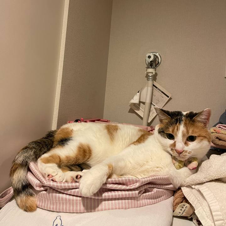 887cef40 83a5 4563 95ab 64196892b687 1643540653049