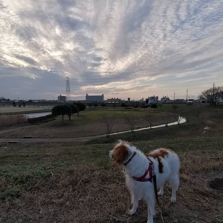 887d363f 07bf 4711 bb73 78490e4f1c08 1579856540237