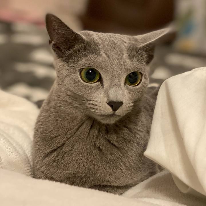 887d5a85 9f75 4098 853b 0fc7964ca722 1617626071788