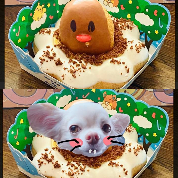 887d5c95 34cf 4839 8e8a 3682cec97dd7 1733039021799