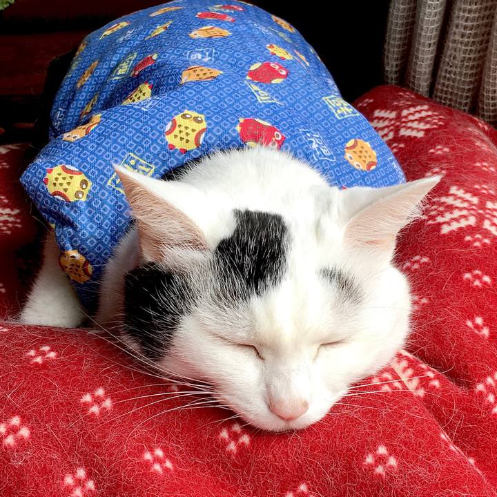 887d8673 e85b 4538 9935 53d0a0e4a3a3 1572848905266