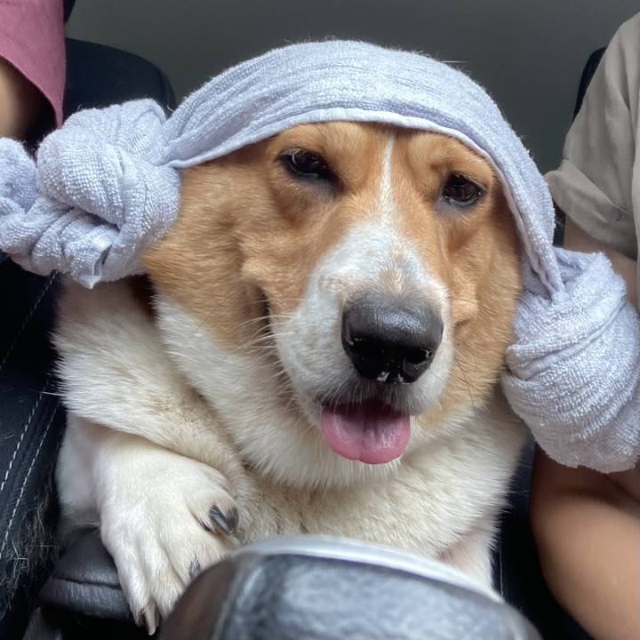 887d880c 302a 418e ac67 35ad40d24dfa 1725407335076