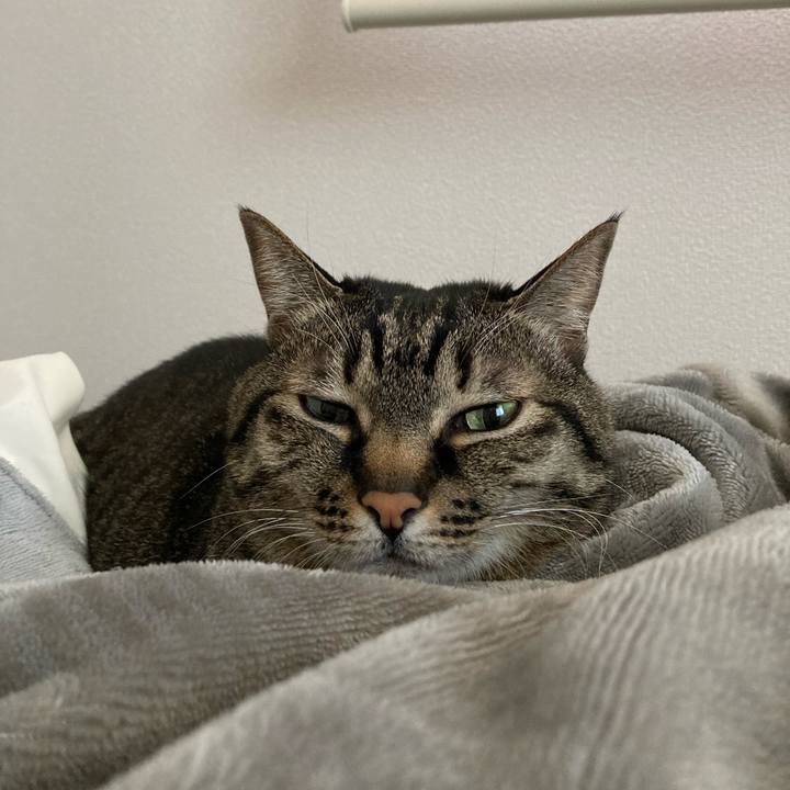 887dd2e7 67e1 483c bb0f 3b6ba4021c8e 1615688881638