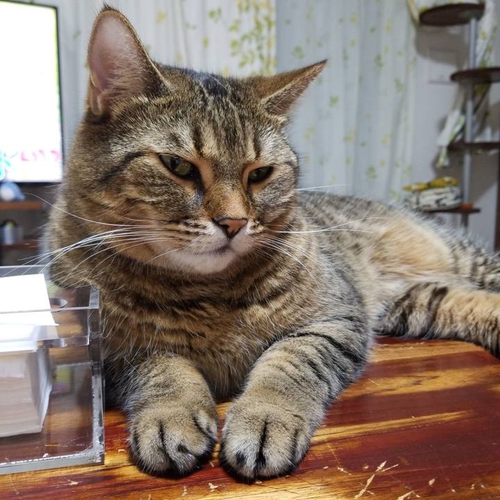 887de63d 7c20 4541 8b11 cc250ecaf10a 1571923842566