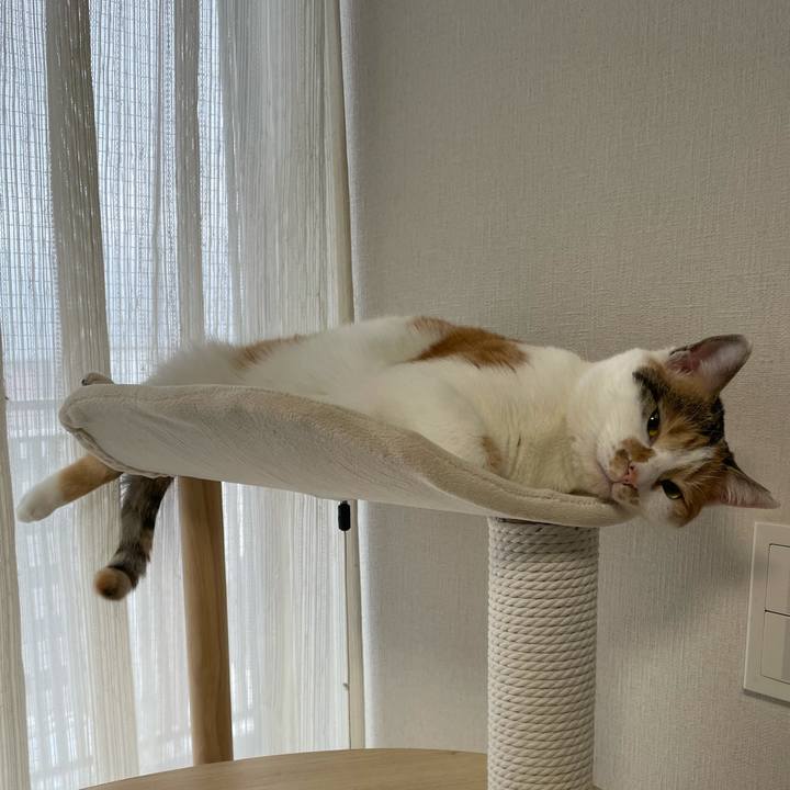 887e52c3 5430 4004 b672 b6a70808c31a 1611876743795