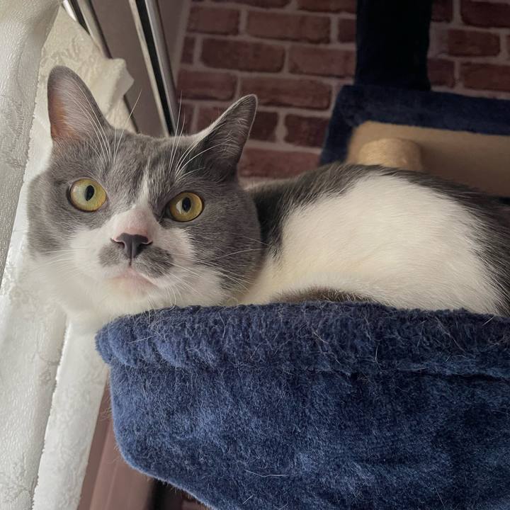 887e6c62 2637 4726 8dc4 9a1c41ed746a 1660686198889