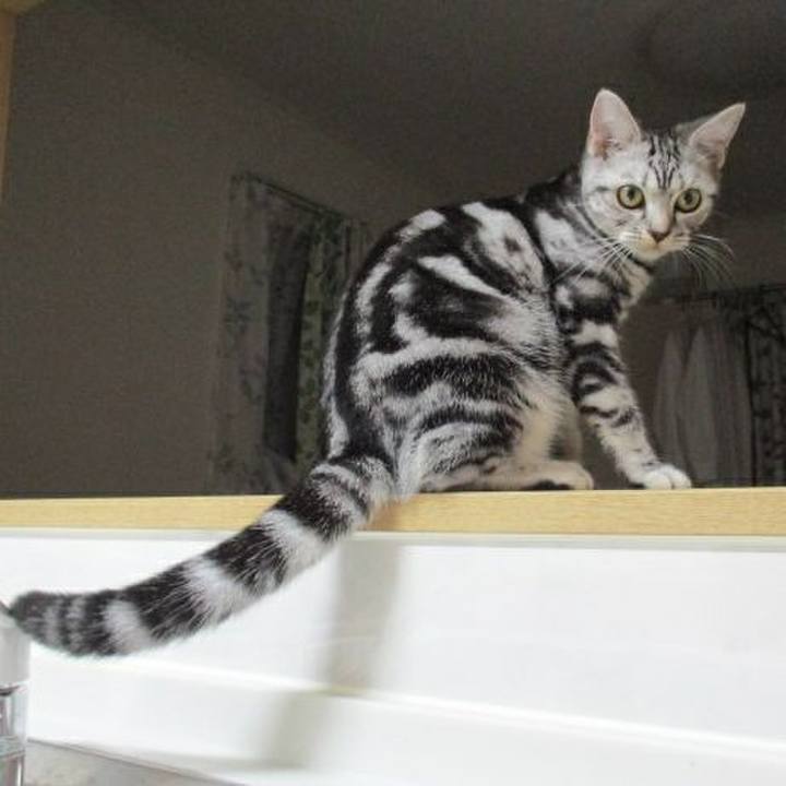 887e8282 3f0f 4530 ae26 75cec7aba5c7 1538830756864