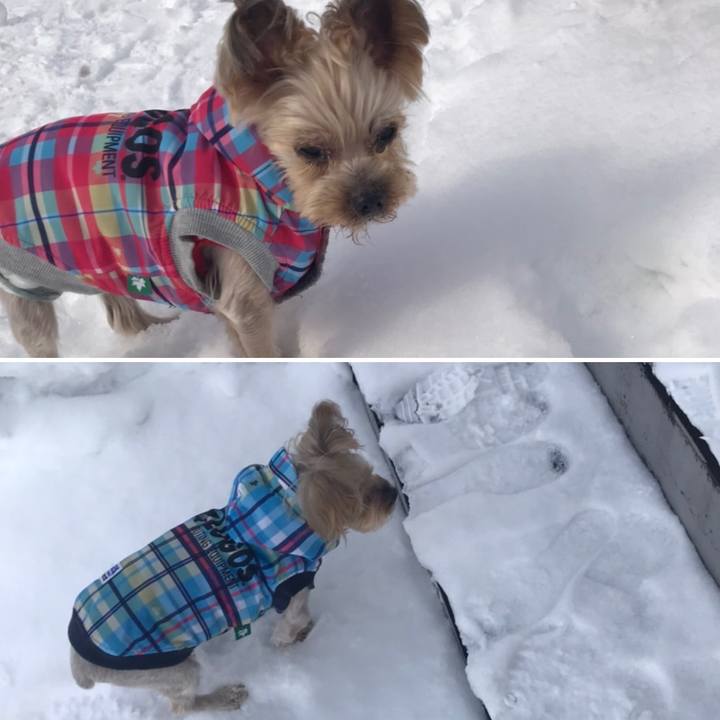 887e9a5f 83c6 4c3a bf99 1c00181ae2eb 1676108187750