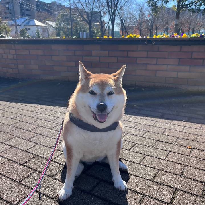 887ec7ca f0db 48c1 9b5a 9ec26240d31b 1702436981218