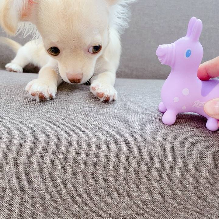 887eef3c 302a 4ffa 85c3 579872d6c50a 1594703372302