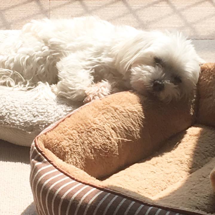 887f1e43 e16d 48ee 8875 97063fdcb409 1520928164493