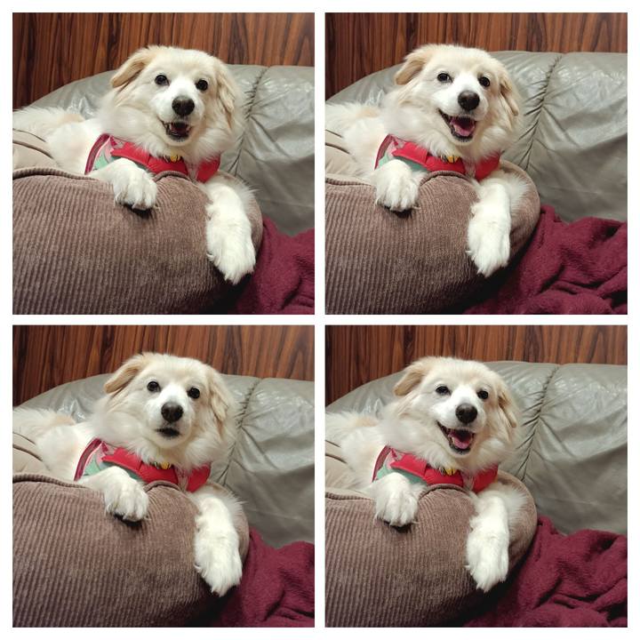 887f39a9 160b 4aca af08 bdc67796fe6e 1678410316321