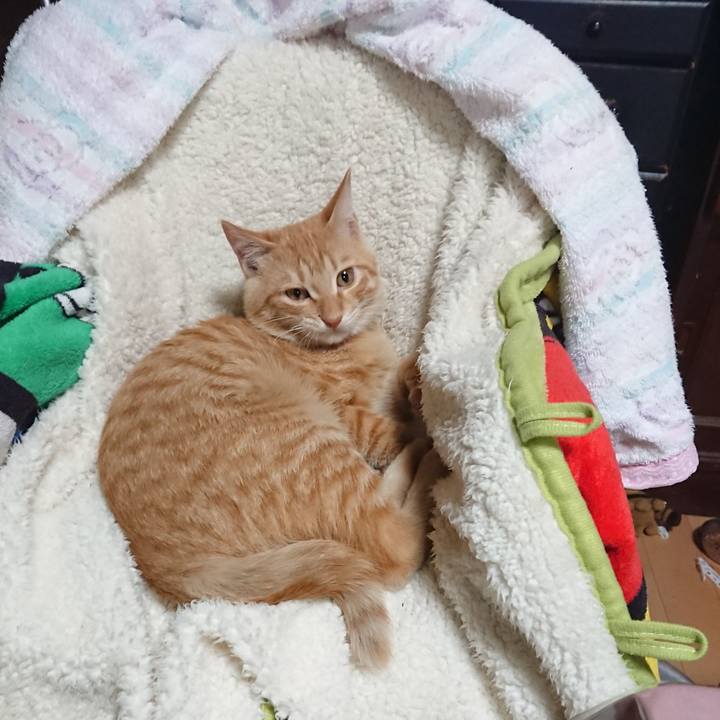 887f43d8 7261 4636 a9d9 001656277196 1634950899445