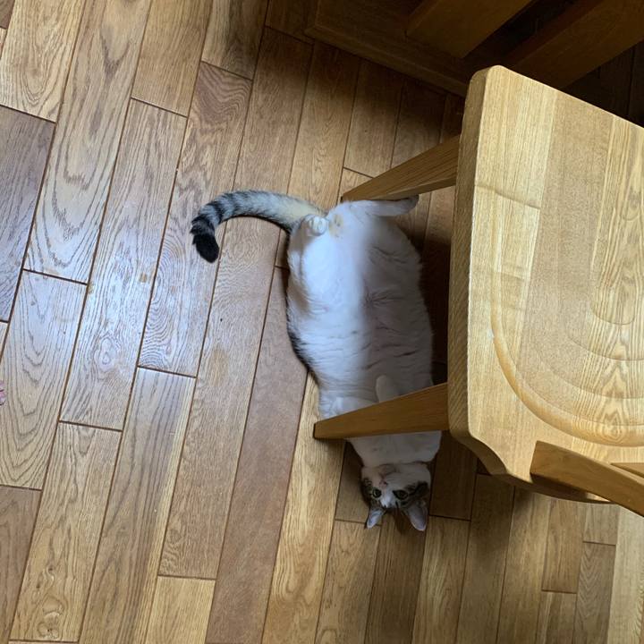 887f676a 4a50 48cf ac36 3c7b8240ad8f 1598275137365