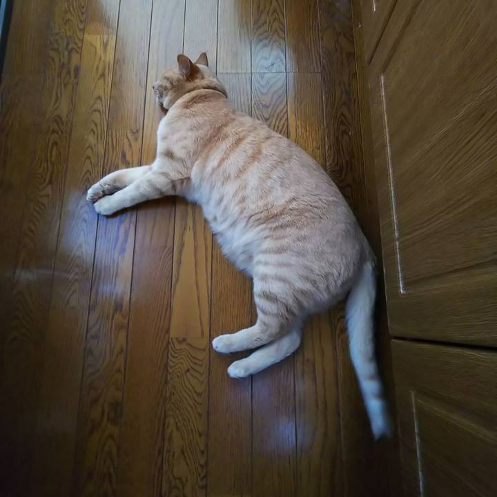 887f7d06 d003 43c6 94ed eef0302b719c 1622860255346