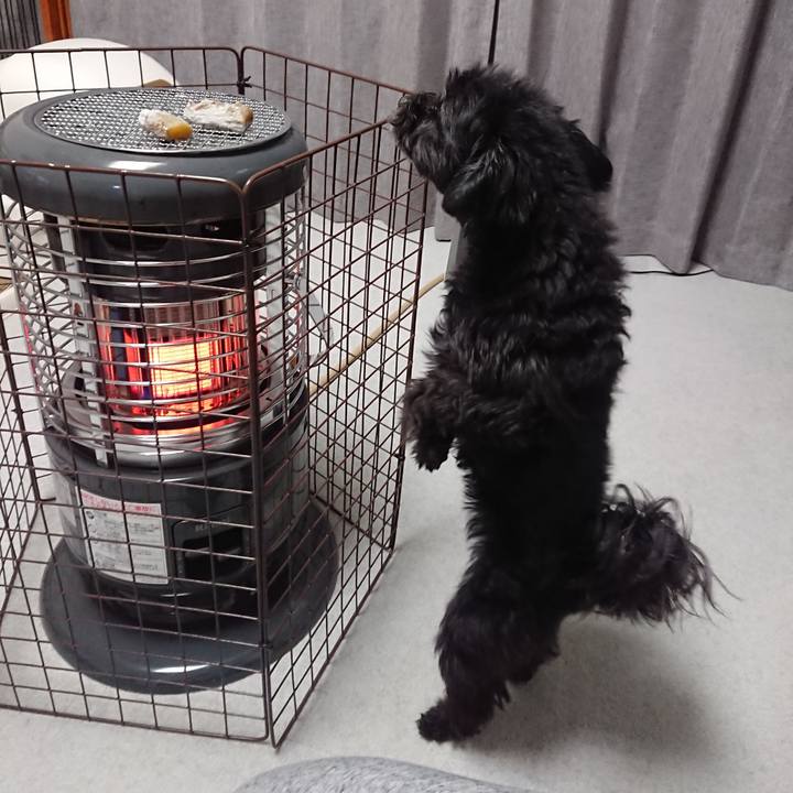 887f986f 6adf 4ee4 915c 0f30dcfa16cc 1548326964491