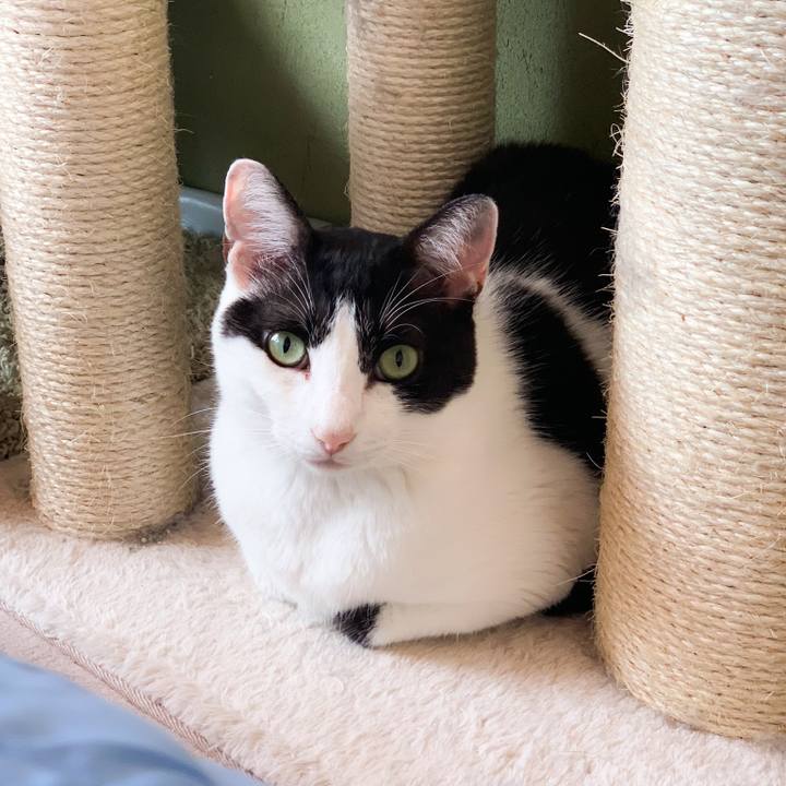 887ff272 410e 4c26 b185 130b84115a37 1569982182186