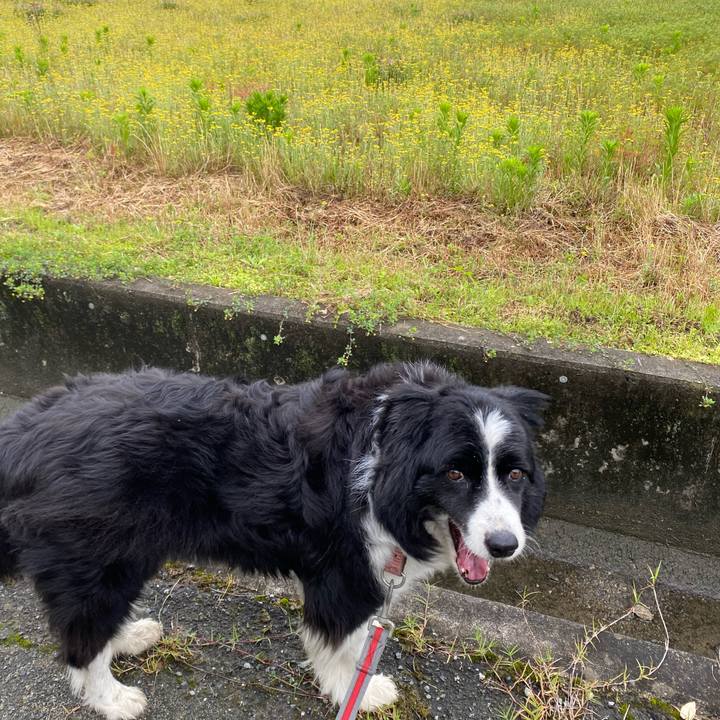 8880061c ba0d 40da 8b94 04e4b893d7c2 1682812272771