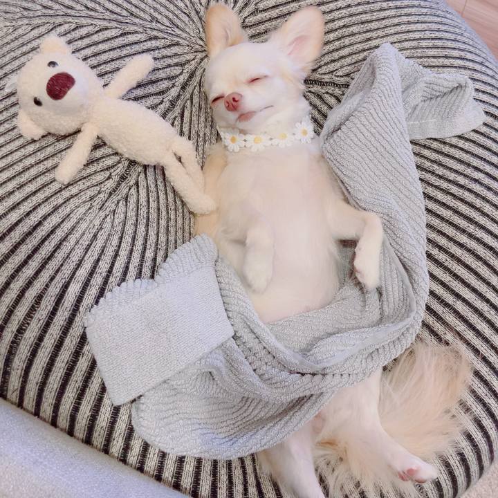 88800771 9739 4529 b544 b0fca33d9d02 1694694443747