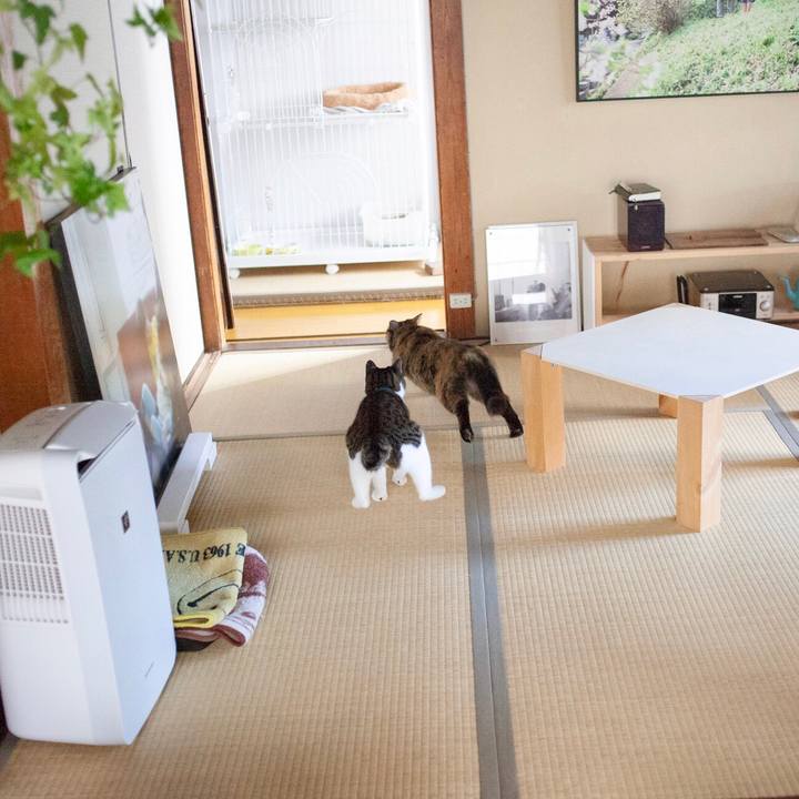 888011a6 f4ab 4d04 9274 7e3d8f63ed98 1573641952340