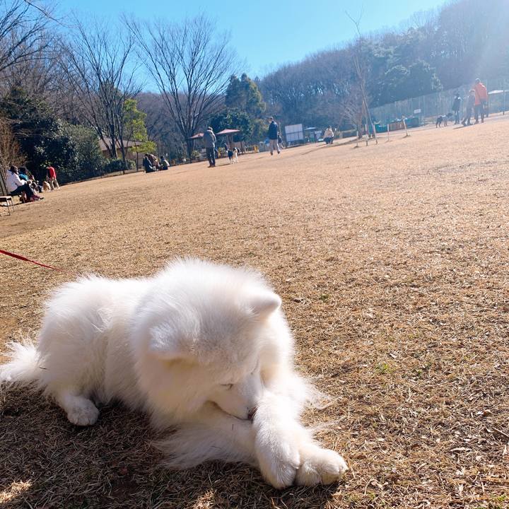 888023a6 9cf3 4c65 a8a7 3e4b35b33e2c 1641519997931