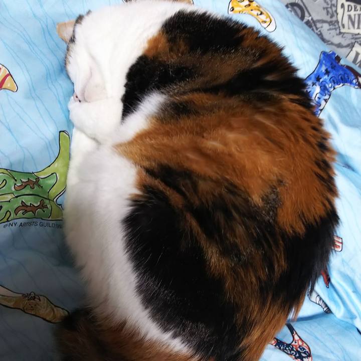 88804ed5 c750 4950 90d1 f6dc1630a649 1582292616793