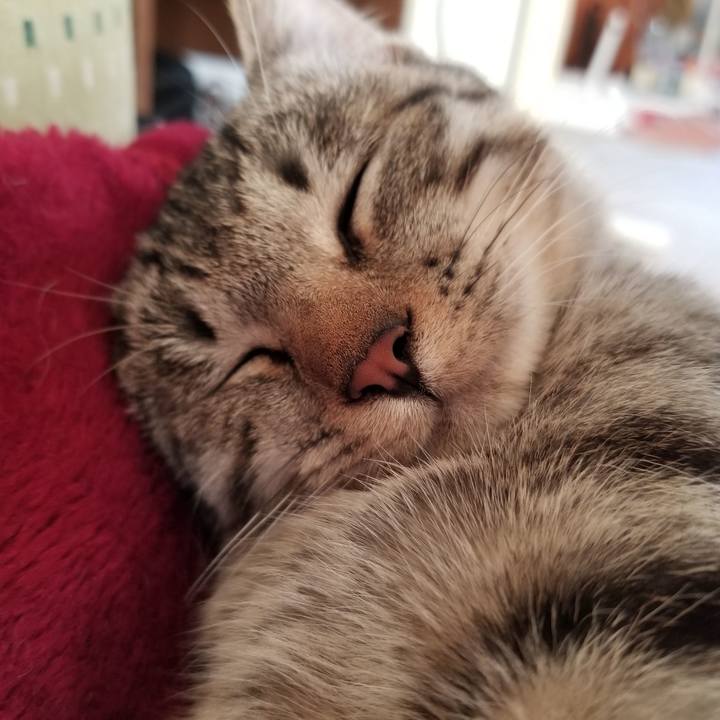 8880e35b 0de9 46b6 9b1b 31c6b7d937c1 1670028663419