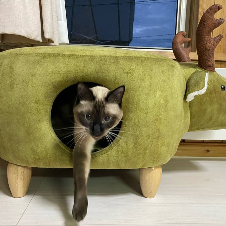 8880f097 e7f4 43d5 86c3 a0e4d37e7c7a 1758053803213