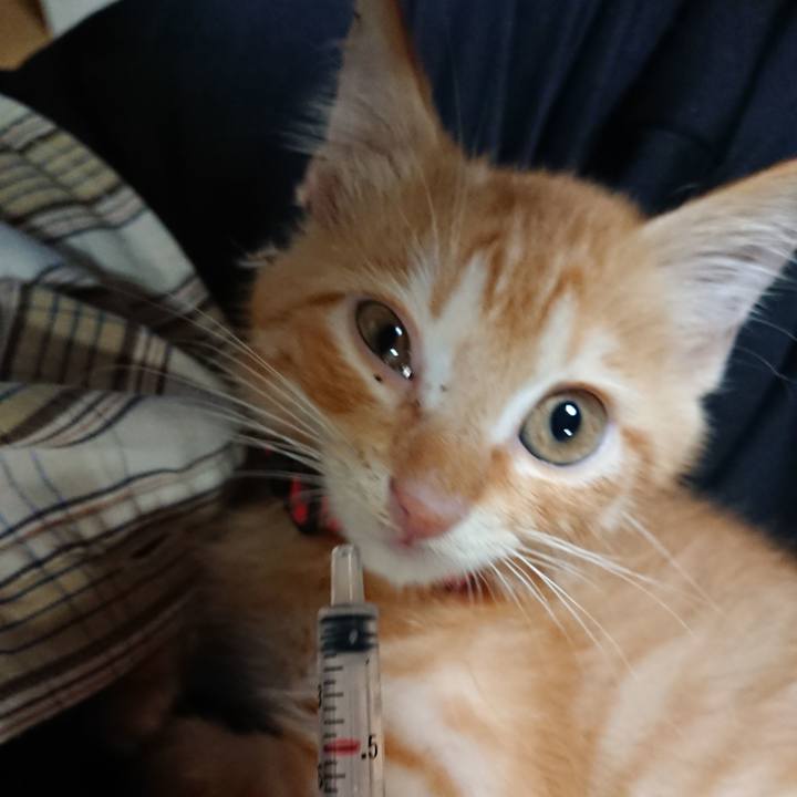 8880f5e8 c095 46b2 84de 5c4b703ca42e 1628940411070