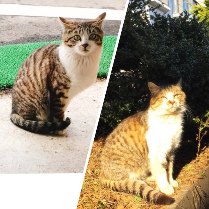 88813731 93b3 4e75 88f3 fcbf13bb1a64 1523181867691