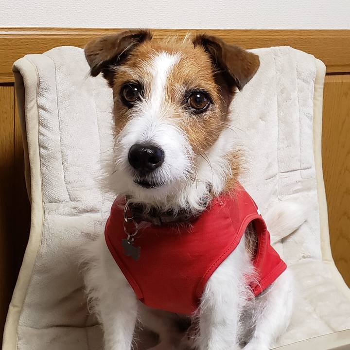 88813857 7647 4836 9fa5 19f55fc7345f 1762075389344