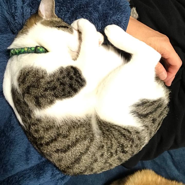 8881675f 7bbd 4392 8d56 1744e0c0e3a8 1549335965237