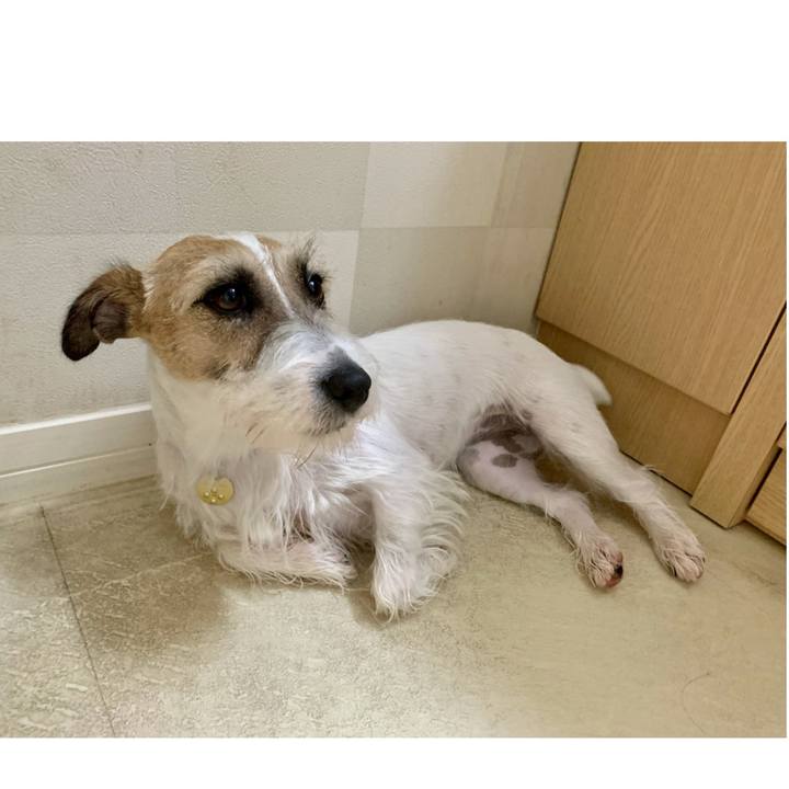 88816ec8 20c7 48e9 8128 a94934a869c1 1624362320630