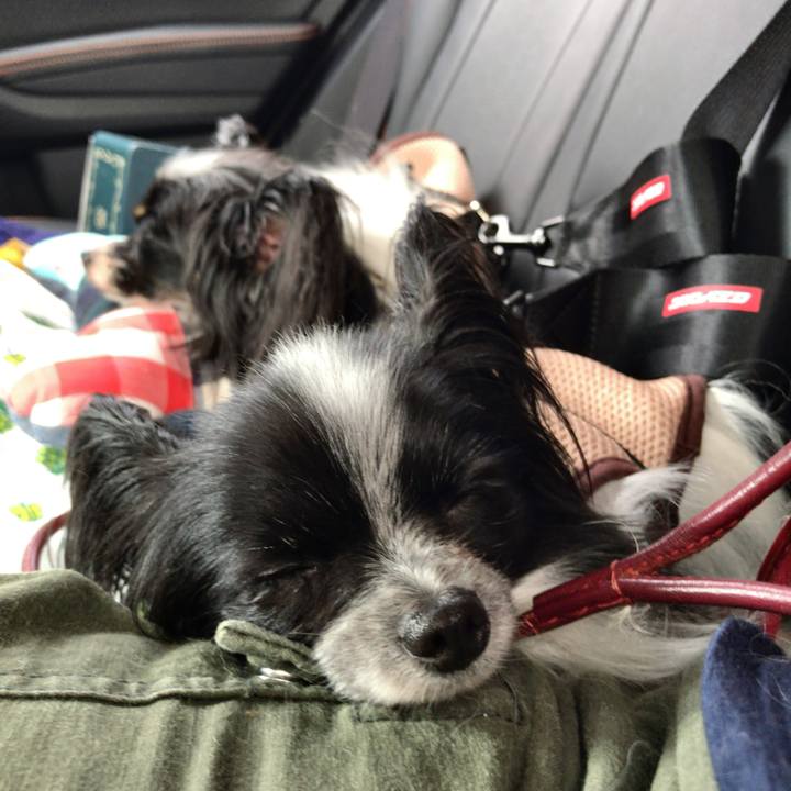 88820bfc e81b 44fc 8978 6a7d0a3e37d1 1534384369585