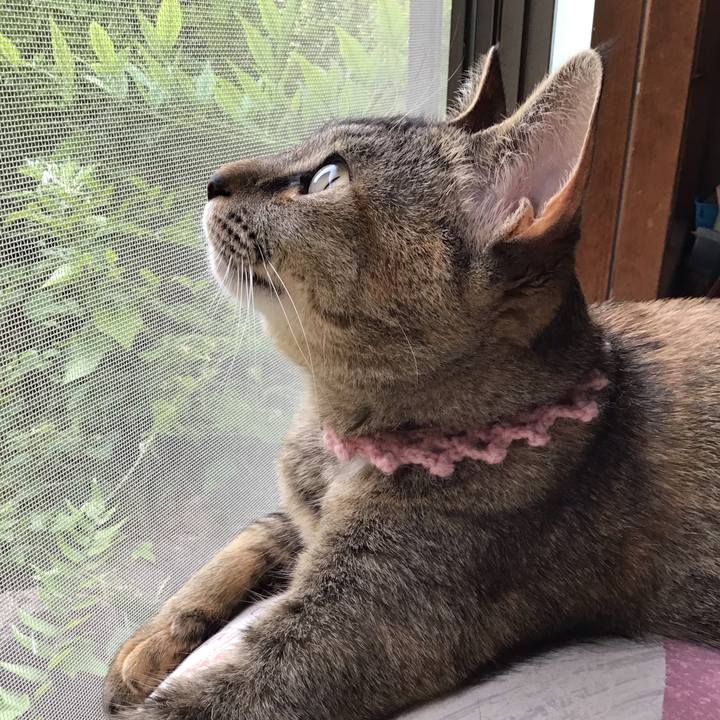 888227f4 5d1b 47d6 b46c 4bae7f2fa652 1590470458904