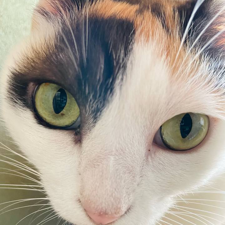 888257a5 153c 4157 b53b dd2a1456170e 1636164155972