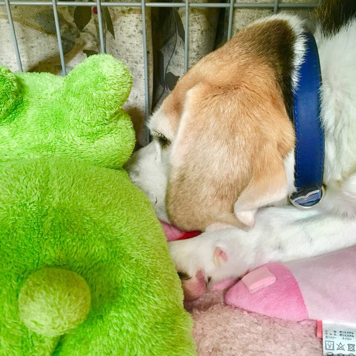 888262b9 d27e 4494 98b1 22b28300a1fa 1765095866513