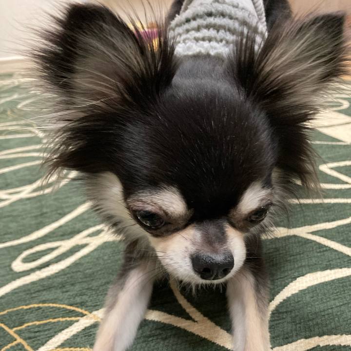 88828b03 c5cb 4478 84fa 71314bd99939 1642252710784