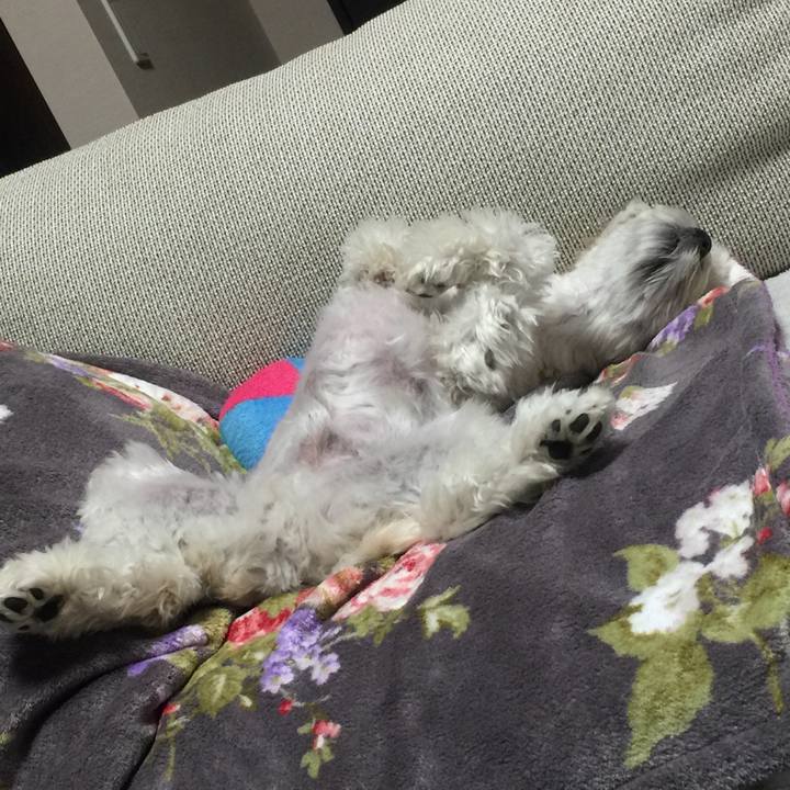 8882b478 2591 495b 8e6d 81398194ce8d 1513170625872