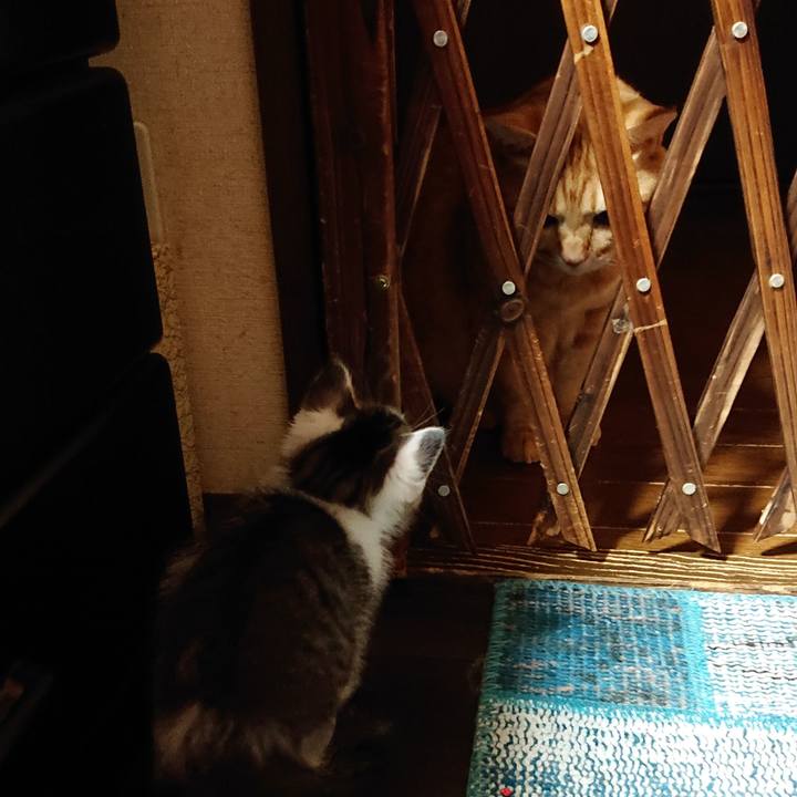 8882bd29 76cf 4f36 8838 fedcaa372574 1539488584580