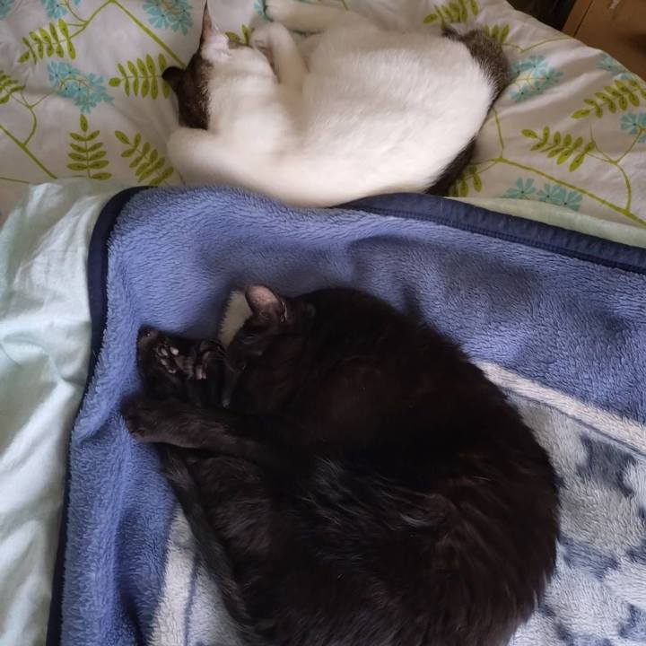 8883005a d703 473f 87b3 3f0c4fbdddad 1747553909981