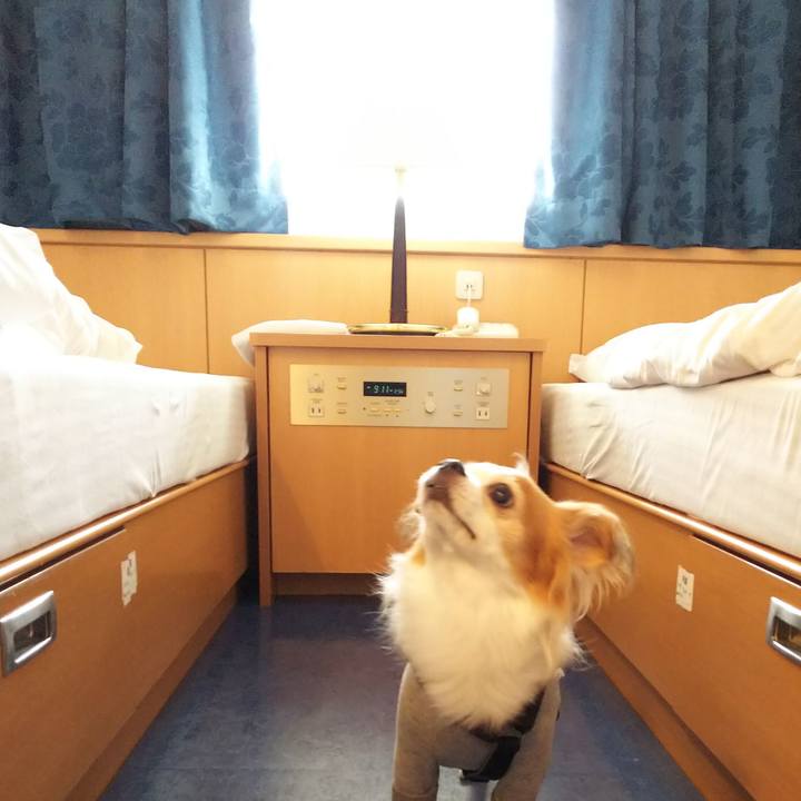 88830250 719e 4622 9b88 47f8e24fa71c 1539406538371